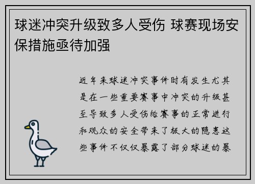 球迷冲突升级致多人受伤 球赛现场安保措施亟待加强